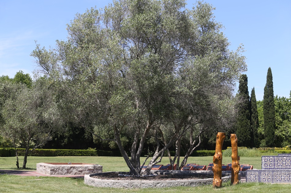 Espacio Andaluz Ecológico Memorial